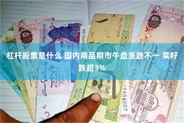 杠杆股票是什么 国内商品期市午盘涨跌不一 菜籽跌超3%