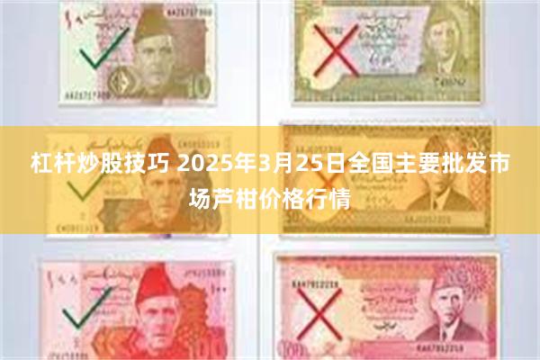 杠杆炒股技巧 2025年3月25日全国主要批发市场芦柑价格行情