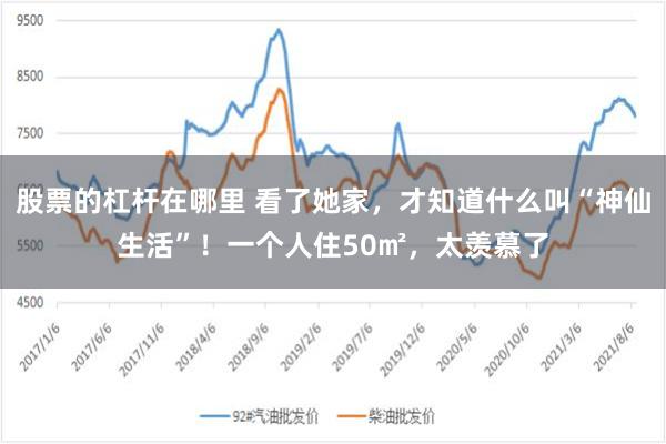 股票的杠杆在哪里 看了她家，才知道什么叫“神仙生活”！一个人住50㎡，太羡慕了