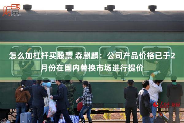 怎么加杠杆买股票 森麒麟：公司产品价格已于2月份在国内替换市场进行提价