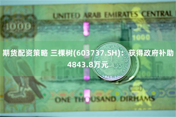 期货配资策略 三棵树(603737.SH)：获得政府补助4843.8万元