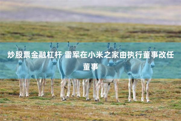 炒股票金融杠杆 雷军在小米之家由执行董事改任董事