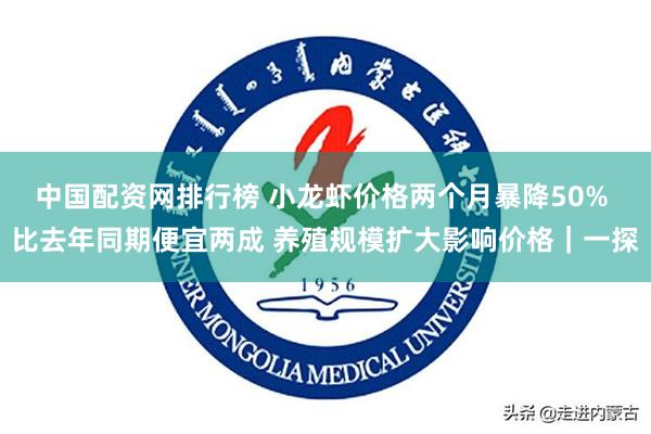 中国配资网排行榜 小龙虾价格两个月暴降50% 比去年同期便宜两成 养殖规模扩大影响价格｜一探
