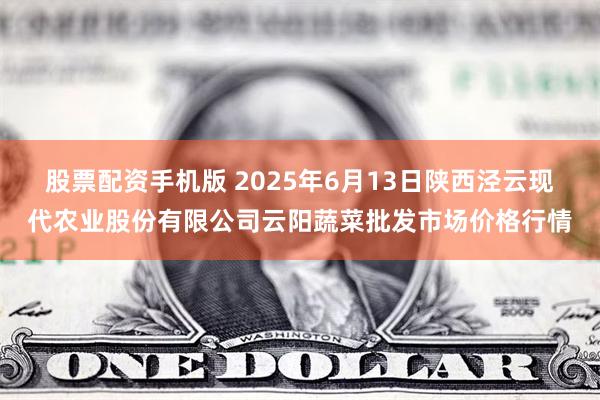 股票配资手机版 2025年6月13日陕西泾云现代农业股份有限公司云阳蔬菜批发市场价格行情