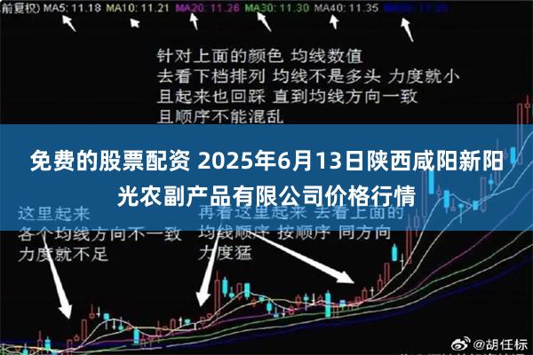 免费的股票配资 2025年6月13日陕西咸阳新阳光农副产品有限公司价格行情