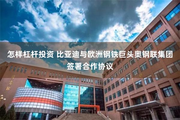 怎样杠杆投资 比亚迪与欧洲钢铁巨头奥钢联集团签署合作协议