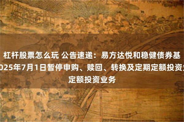 杠杆股票怎么玩 公告速递：易方达悦和稳健债券基金2025年7月1日暂停申购、赎回、转换及定期定额投资业务