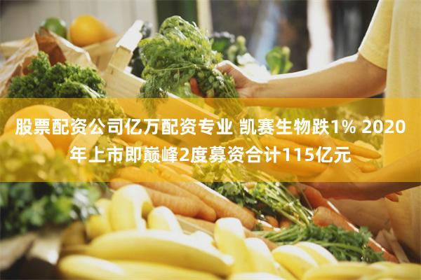 股票配资公司亿万配资专业 凯赛生物跌1% 2020年上市即巅峰2度募资合计115亿元