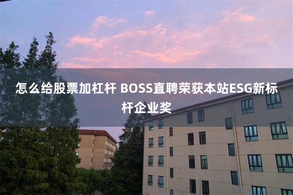 怎么给股票加杠杆 BOSS直聘荣获本站ESG新标杆企业奖