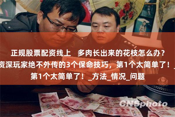 正规股票配资线上   多肉长出来的花枝怎么办？多肉开花必看！资深玩家绝不外传的3个保命技巧，第1个太简单了！_方法_情况_问题