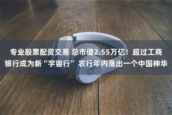 专业股票配资交易 总市值2.55万亿!超过工商银行成为新“宇宙行” 农行年内涨出一个中国神华