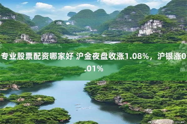 专业股票配资哪家好 沪金夜盘收涨1.08%，沪银涨0.01%